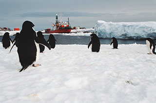 Sur la route de Concordia