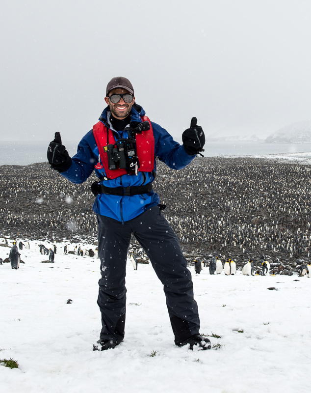 Jonathan Zaccaria, you and a half a million penguins