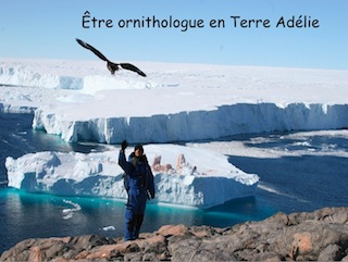 Etre ornithologue en Terre Adélie
