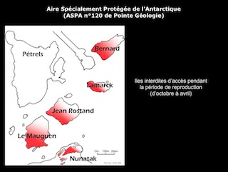 Etre ornithologue en Terre Adélie