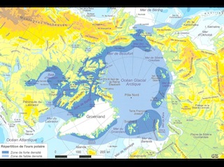 Conférence sur l'ours polaire