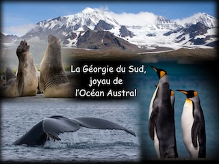 Conférence sur la Géorgie du Sud