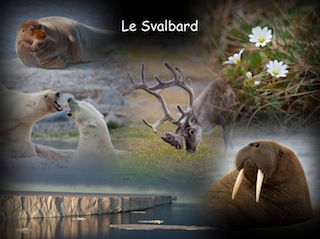 Conférence sur le Svalbard