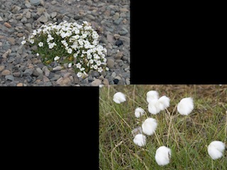 Conférence sur le Svalbard