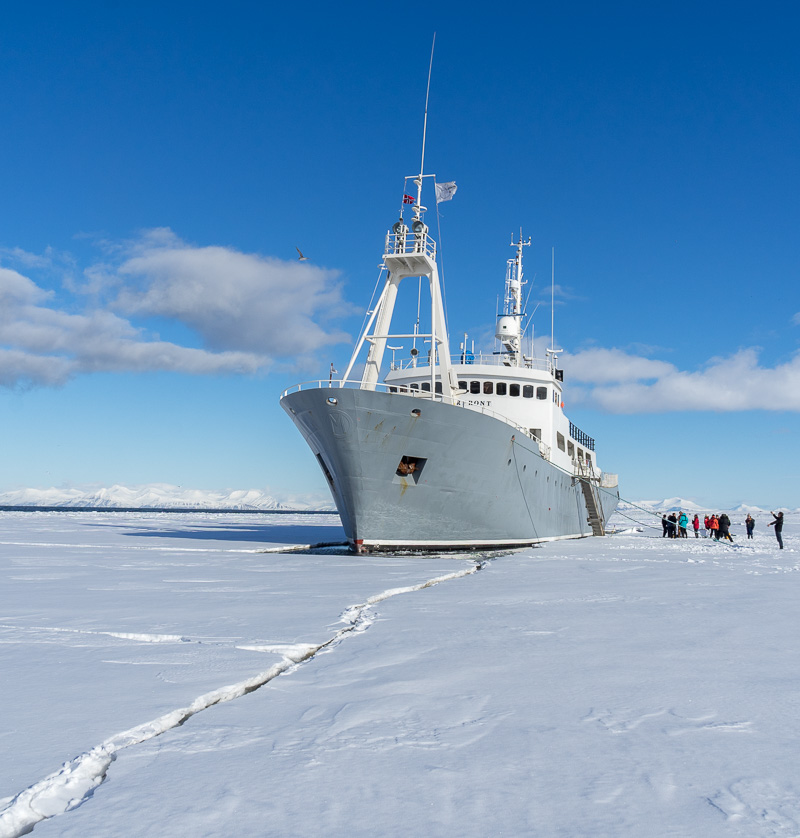Antarctica